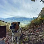 Affittacamere Fruehstueckspension Lemberger 3*