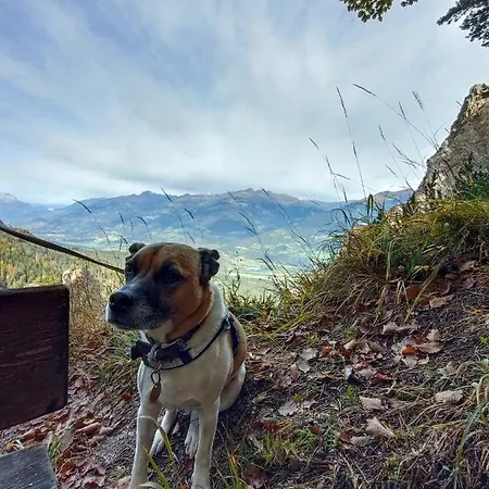 بيت ضيافة Fruehstueckspension Lemberger 3*