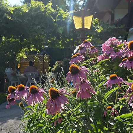 بيت ضيافة Fruehstueckspension Lemberger